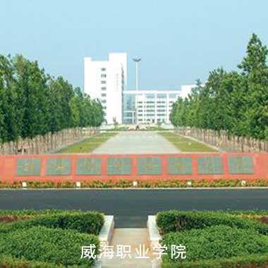 贝斯特全球最奢华(中国)有限公司