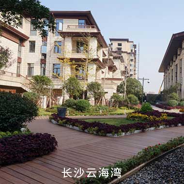 贝斯特全球最奢华(中国)有限公司